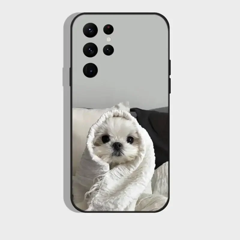 Maltański pies Puppy Cute etui na telefon Samsung S21 S22 Ultra S20 S30 plus S22 plus S23 S30ultra 5G silikonowe etui
