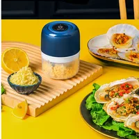 250ml Wireless Electric Mini Garlic Press Auxiliary Food Cooking Machine Small Ha Household Kitchen Tools Meat Grinder Pepper 2