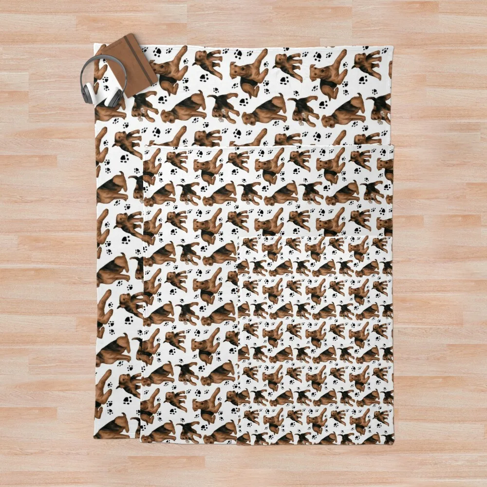 ����� ���� ������ ���� ���, ������