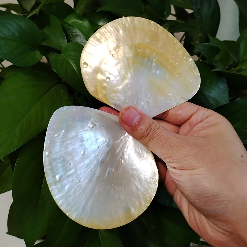 2PCS Natural Yellow Pearl Oyster Shell Dish Polished Shell Handmade Creative DIY Jewelry Beads Decorative Caviar Container 3