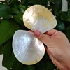 2PCS Natural Yellow Pearl Oyster Shell Dish Polished Shell Handmade Creative DIY Jewelry Beads Decorative Caviar Container 3