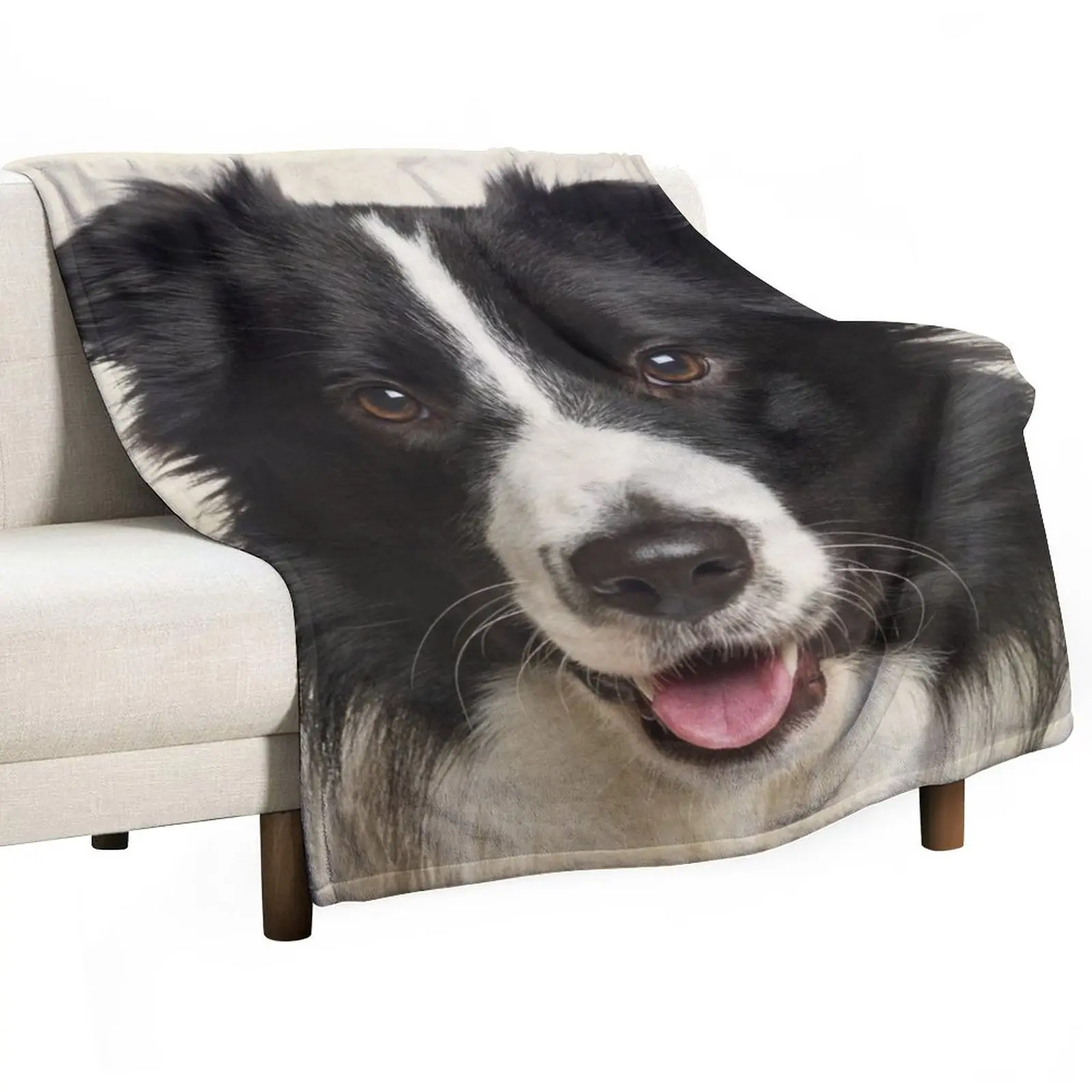 

Border Collie Art, Domestic Dog, Animal Portrait Throw Blanket Luxury St Decorative Beds Blankets