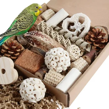Natural Bird Foraging Box with Interactive Play Features for Parakeets Cockatiels Conures Love Birds and Other Small to Medium 1