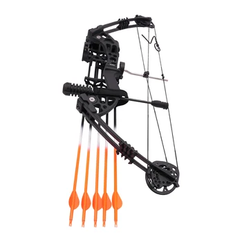 Compound Bow Kit 30~60lbs, Archery Hunting Bow Set with12 arrows and bullseye paper, Right Hand Compound Bow Arrow Set 1