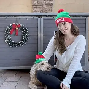 dog house 