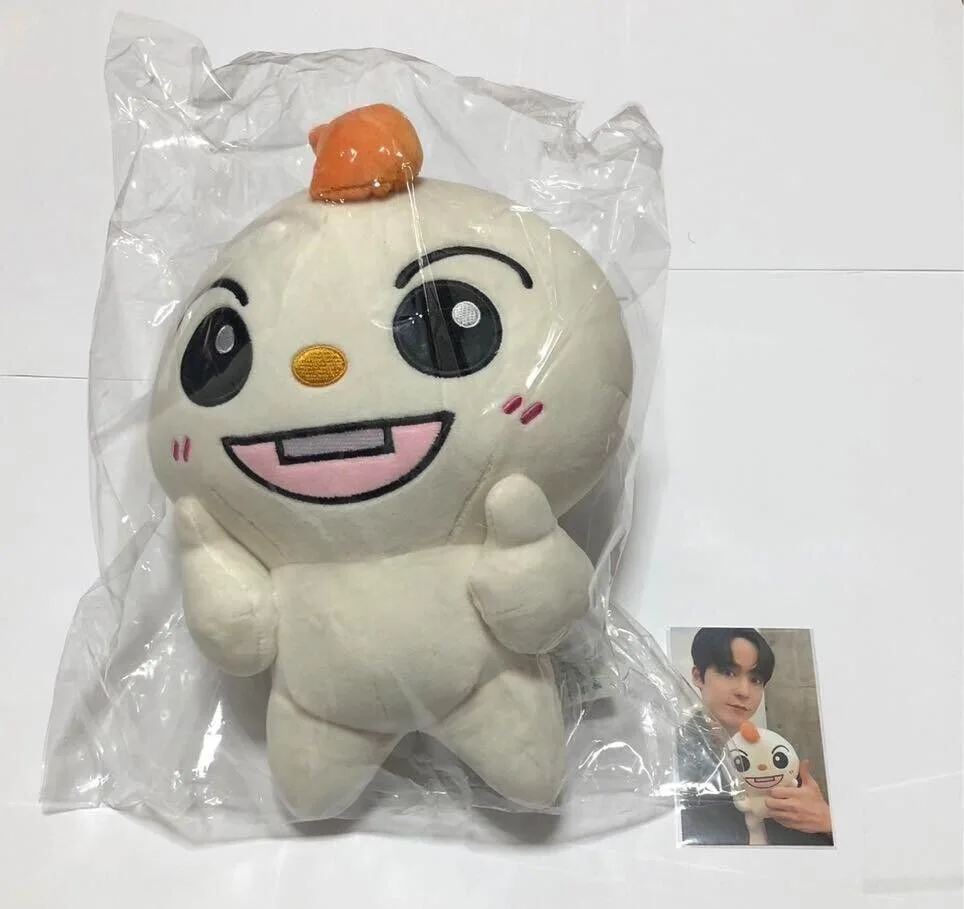Рисунок 6 - Kpop 25 см Teez-mon Pop Up SeongHwa