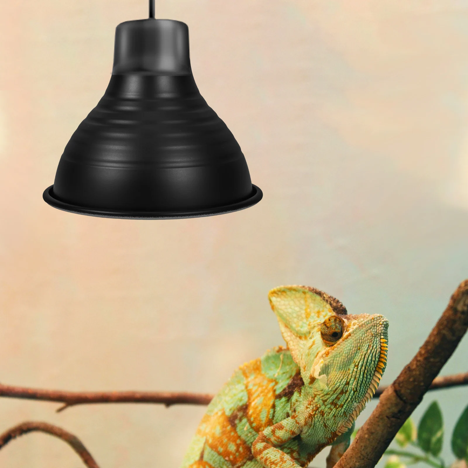 Reptile Heat Lamp Protector 2