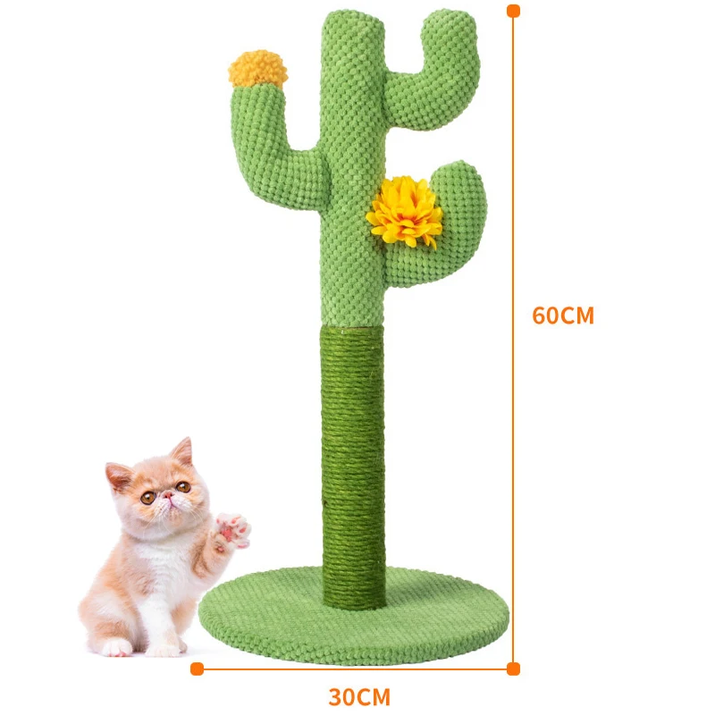 Cactus 60x30cm