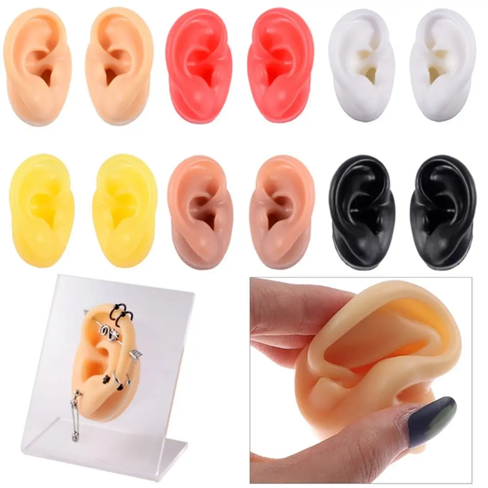 

Silicone Ear Model Soft Teaching Props Reuseable Piercing Model Body Jewelry Earrings Display Stand Medical Teaching Props