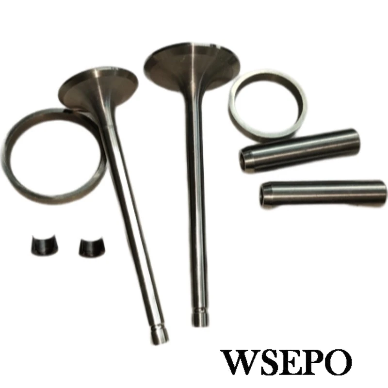 Valves Seats Guides And Retainer Kit(10PC Set) For Changchai Or Similar ZS1110 ZS1115 4 Stroke