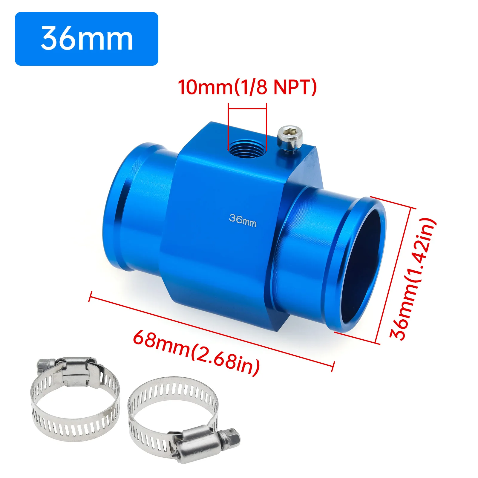 36mm Blue