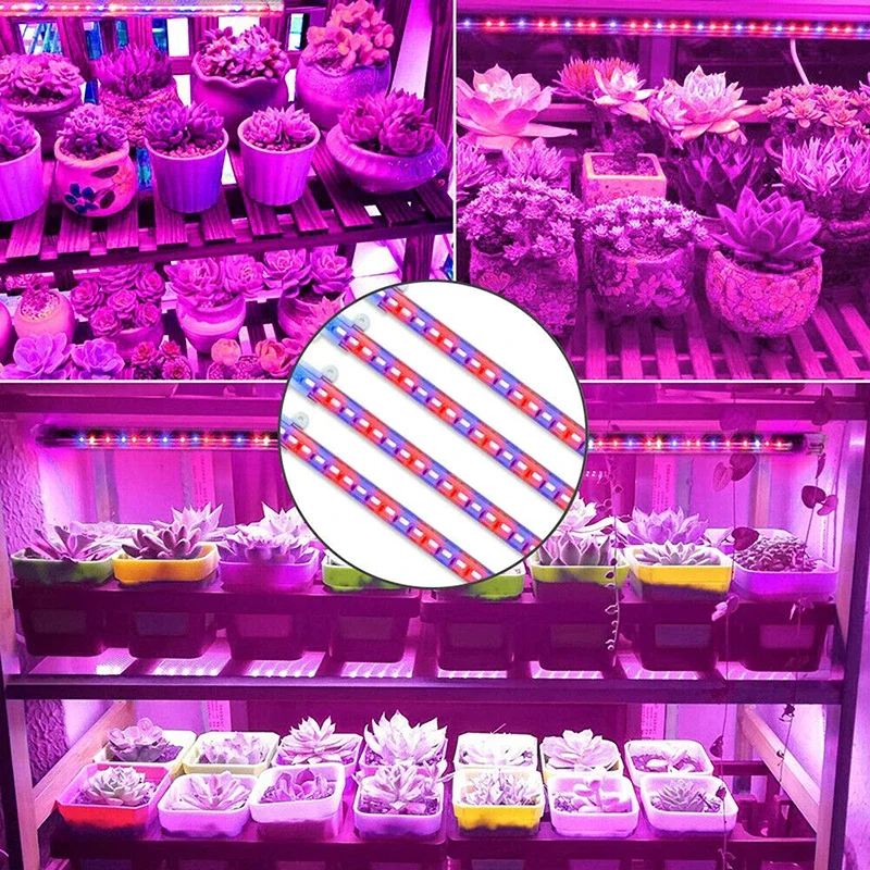 LED Plant Grow Light Timing Usb Full Spectrum Hydroponics Growing Lamps for Succulent Flowers Seedling Indoor Cabinet Lamp