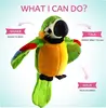 Talking Parrot Plush Pal Repeat What You Say Macaw Stuffed Animal Electronic Record Interactive Animated Bird Shake Wings 3