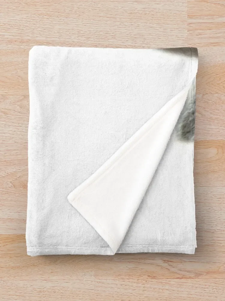 ���� ���� ����, �Ϳ��� ���� ������ ���, ���Ÿ� �����̳�, ���� ���� ���� ���