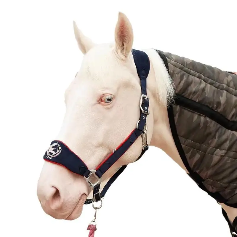 1pc-exquisite-embroidered-anti-abrasion-bridle-harness-horse-riding-equipment-equestrian-sports-professional-accessories