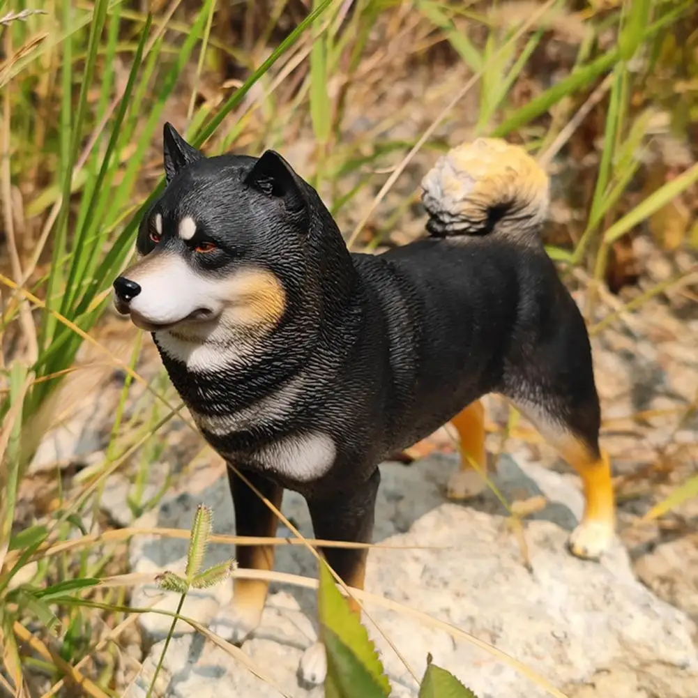 Shiba Inu Statue langlebig Schwarz Realistische Tragen-beständig Hund Shiba  Inu Modell Shiba Inu Figurine für Hund liebhaber - AliExpress