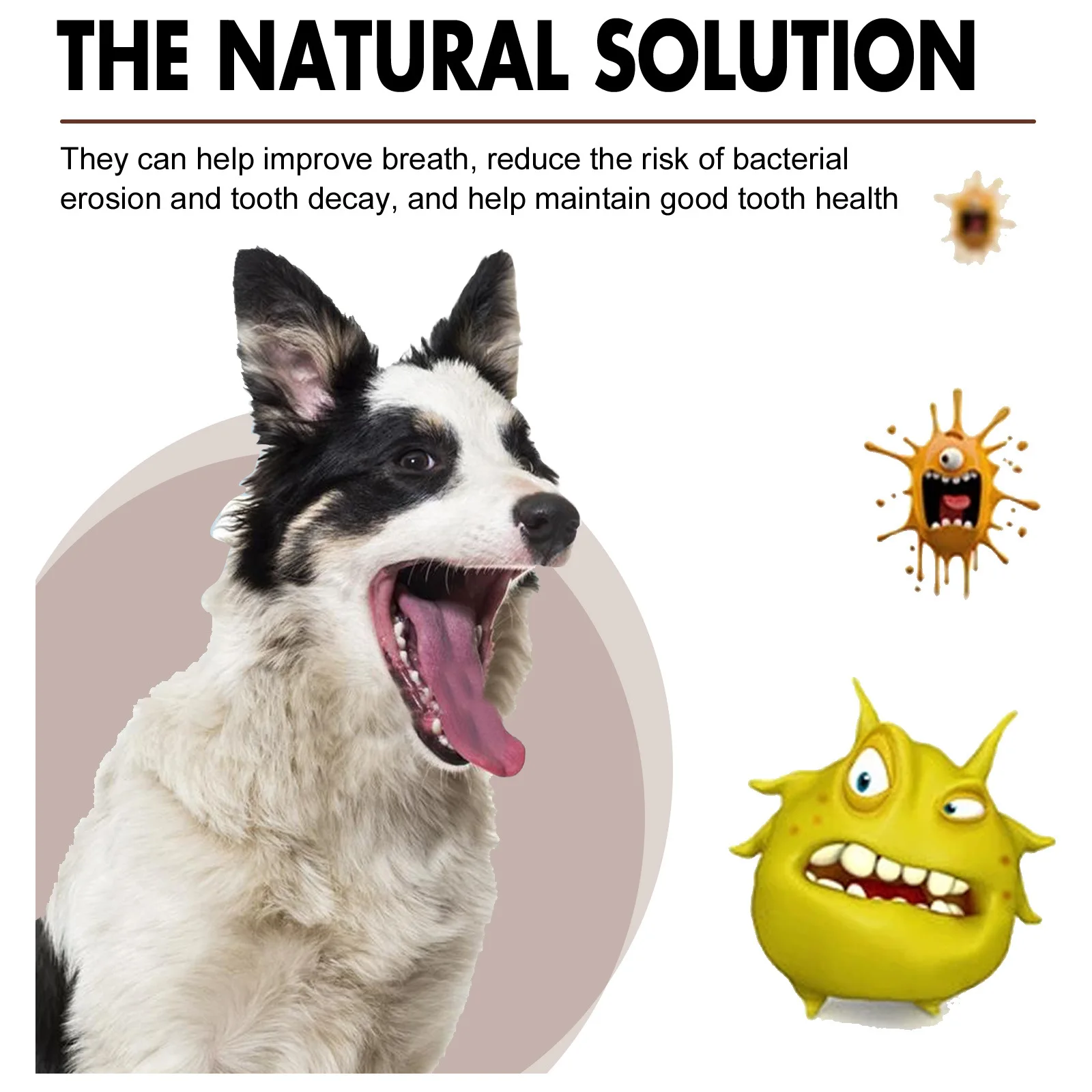 Pet Tooth Cleaning Spray Dogs Remove Bad Breath Freshener Cats Oral Cleaning Dental Care Deodorization Spray Pet Supplies 30ml images - 6