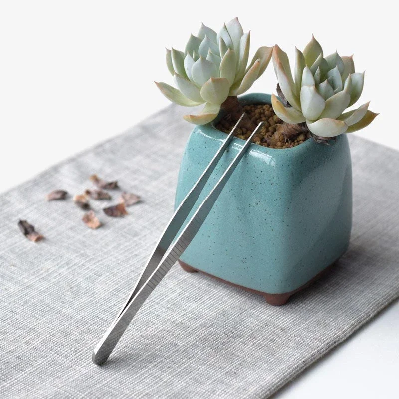 Stainless Steel Curved Tweezer Outdoor Bonsai Tools Succulent tools Plant Home Garden Tools 2pcs/lot