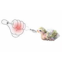 Bird Parrot Feeder Spoon with Manual Syringe Baby Bird Water Milk Medicine Feeding Syringe 20ml 2