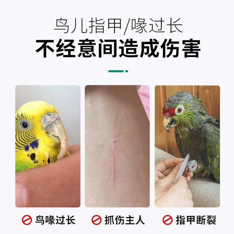 Pet Interactive Parrot Toy Colorful Ladder Wood Birds Ladder for Hamster Cage Funny Grinding Sticks Climbing Toy Bird Accessories bird toys