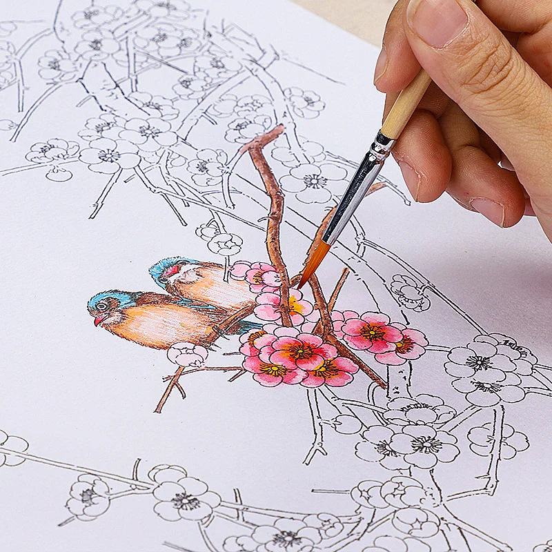 8K Aquarelle Coloring Drafts Meticulous Painting Line Drawing Copying Manuscript Adult Children Flower Plant Aquarelle Paper