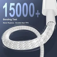 Fast Charger Cable 2