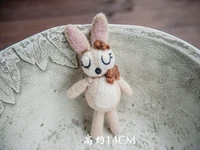 Newborn Photography Props for Baby Cute Animals Handmade Wool Doll Fotografia Accessory Studio Shooting Photo Props Accessories 5