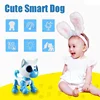 Intelligent Mechanical Dog Multifunctional Electronic Music Dance Walk Interactive Pet Robot Dog Toy Children's Educational Toy 4