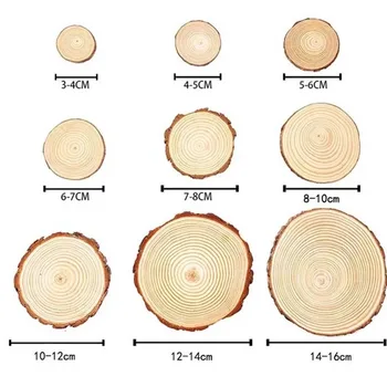 Natural Pine Wood Slices 3