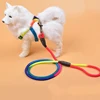 New puppy lead rope Teddy small and medium-sized dog colorful nylon round lead rope 1.2m dog walking accessories Pet supplies 3