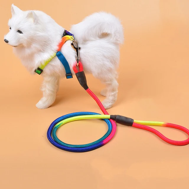 New puppy lead rope Teddy small and medium-sized dog colorful nylon round lead rope 1.2m dog walking accessories Pet supplies 3