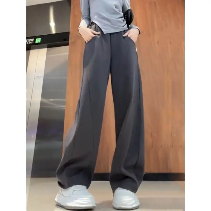 Women's Spring Autumn New Fashion Elegant High Waist Straight Barrel Casual Versatile Western Comfortable Korean Commuter Pants