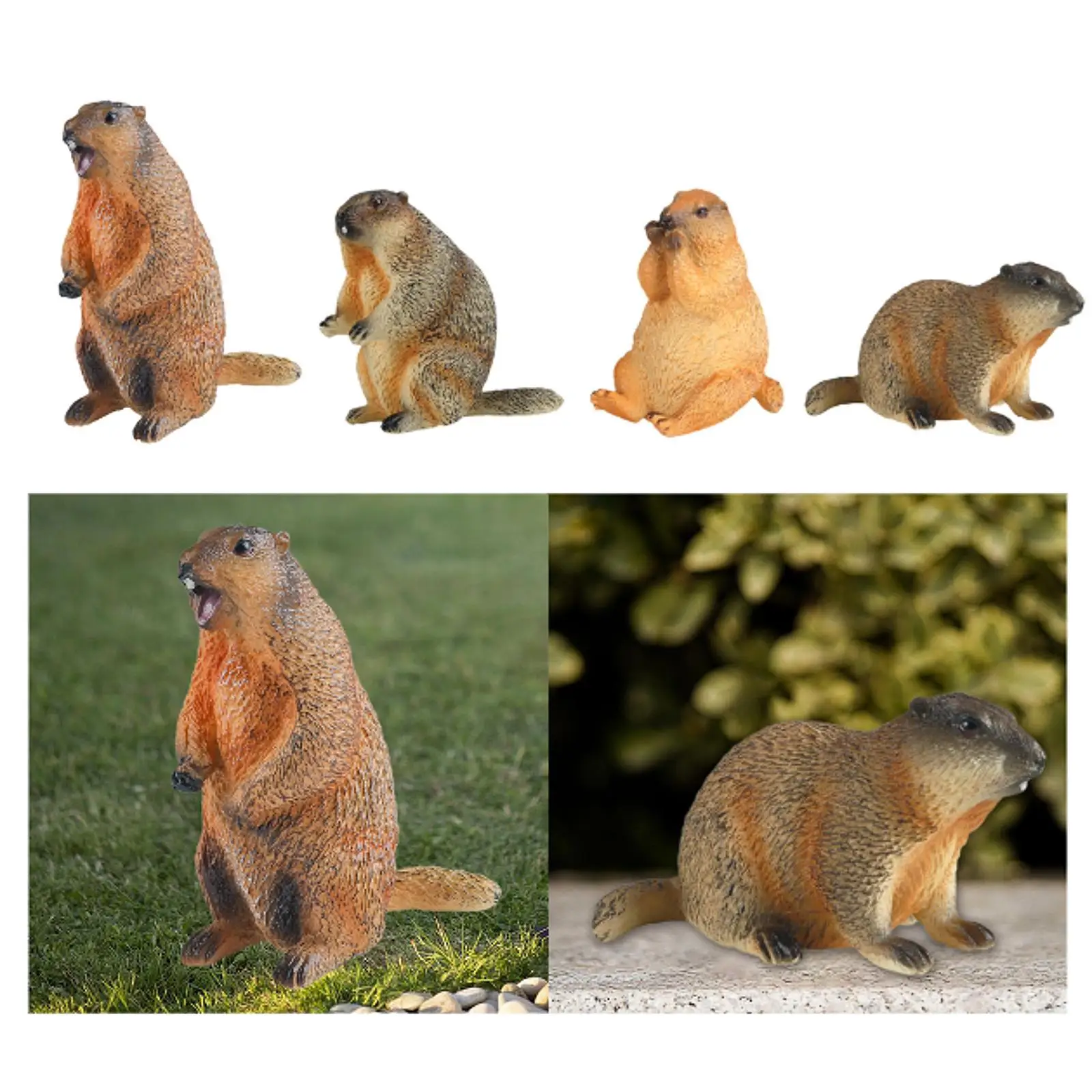 Groundhog Model Figure Marmots Sculpture Mini Crafts Lifelike Decorative
