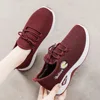2025 Trendy Coconut Shoes for Women, Lightweight Spring/Autumn Flats with Thick Breathable Soft Soled Mesh 1