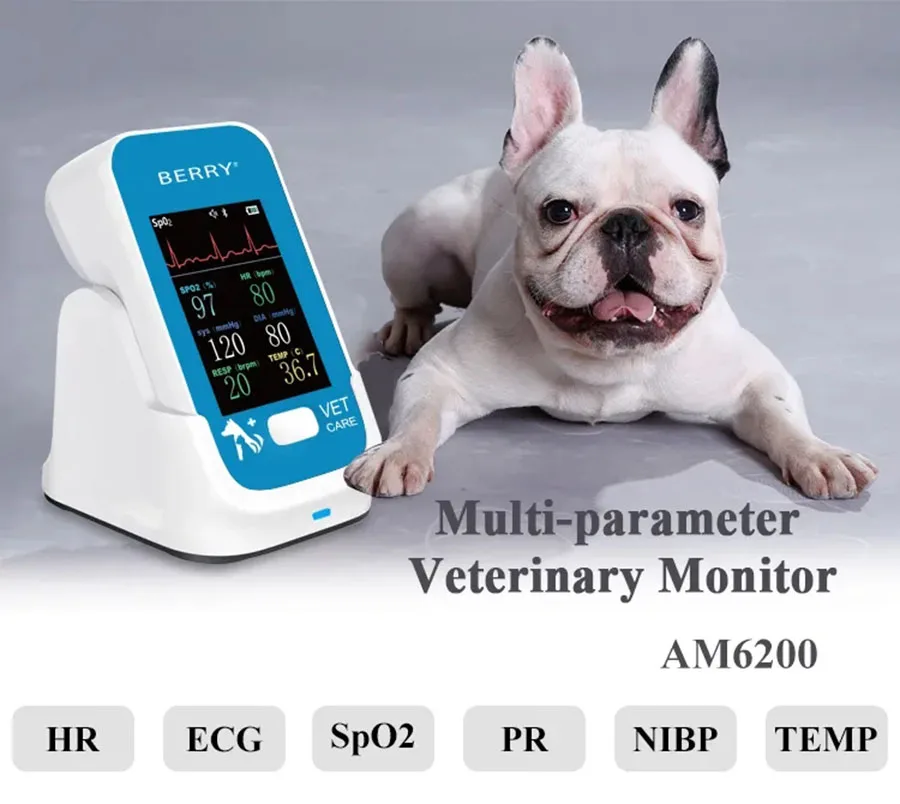 

AM6200 Veterinary Monitor Easy-to-carry Handle Multiple Vital Signs:PR, HR, NIBP(Blood Pressure), Spo2, Resp(Respration), TEM