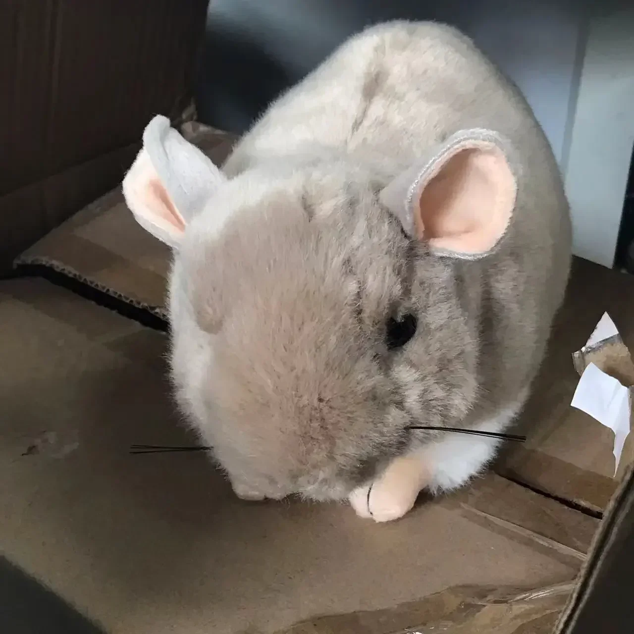 Zoo 36cm Simulation Lifelike chinchillas Rat Mouse Plush Toys Soft