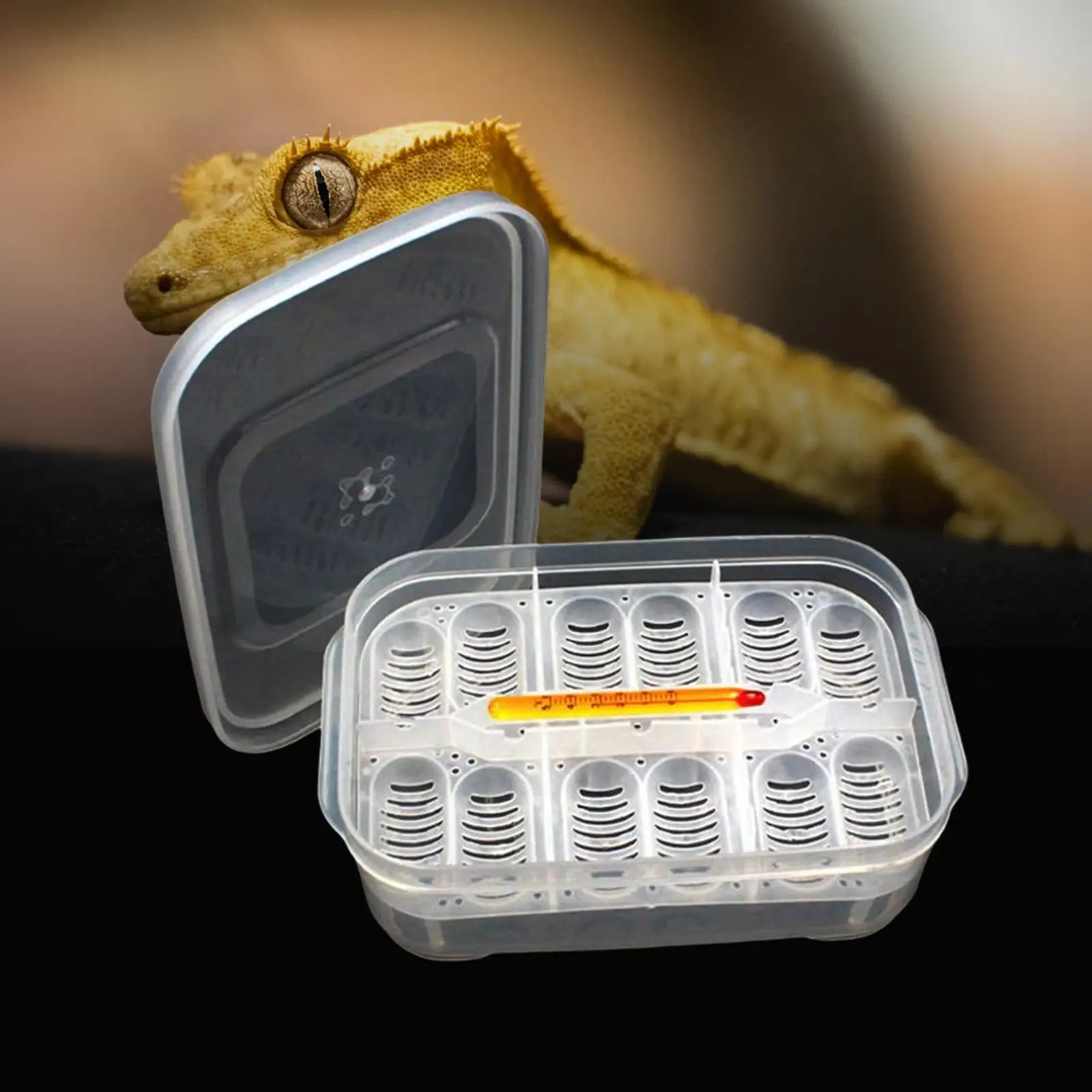 Reptile egg incubator Plastic Reptile Egg Tray Incubator 12 Grids Thermometer with Eggs Tray Tool Container for Hatching Breeding Supplies Gecko Snake