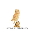 Barn Owl -2