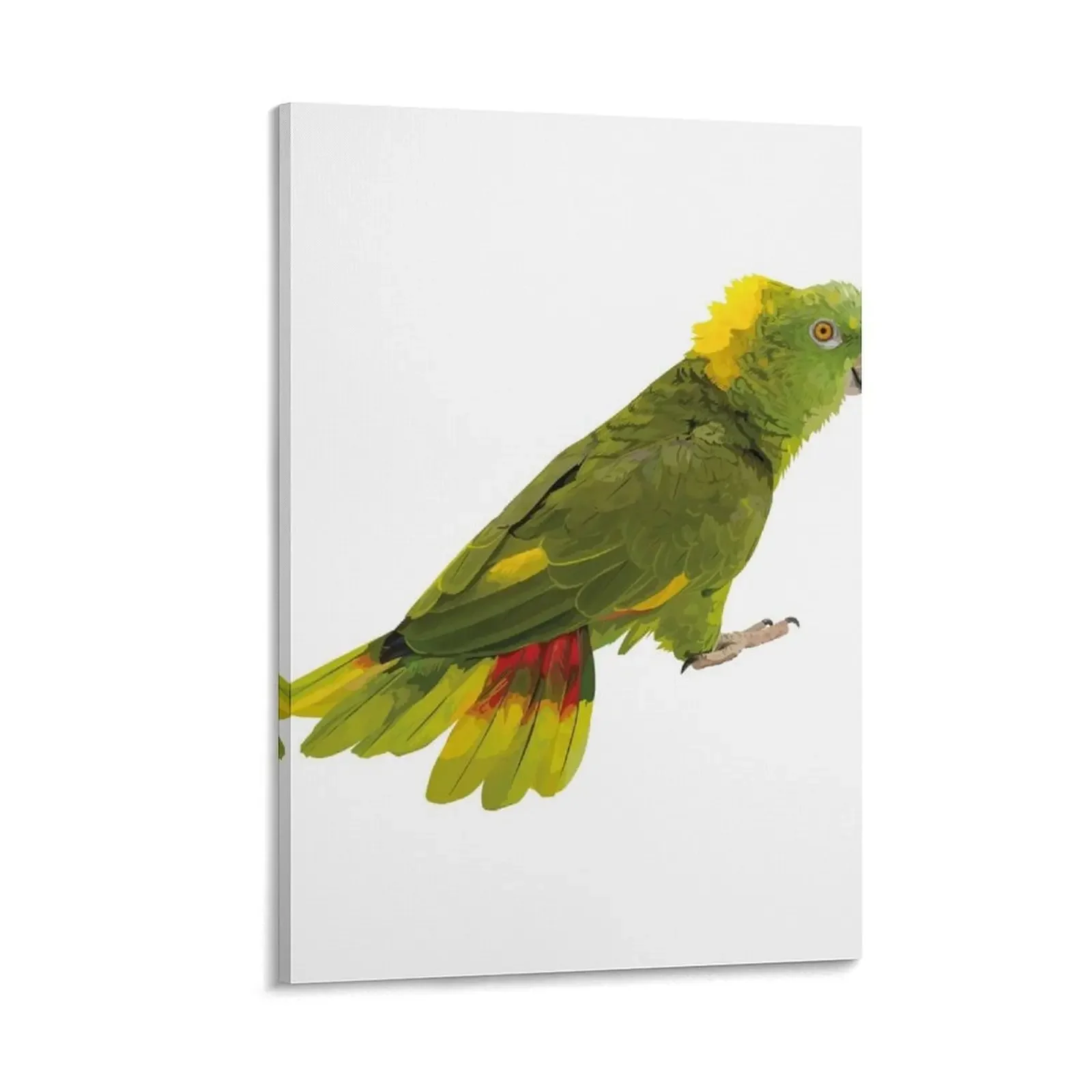 

yellow-naped amazon Canvas Painting wall art canvas painting Paintings on canvas for living room