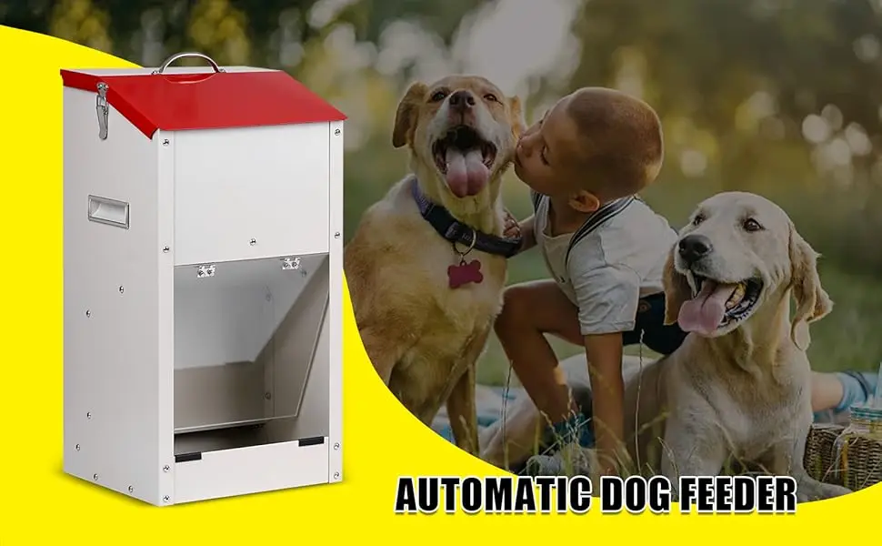 automatic dog feeder for large dogs