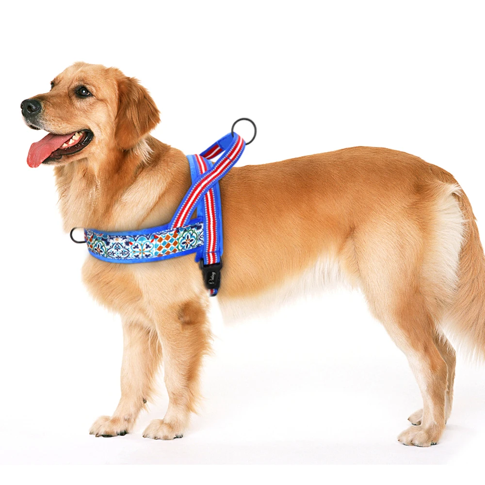 pug puppy harness