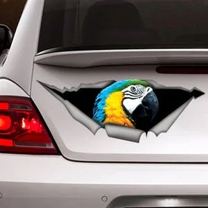 Yellow and blue macaw car decal, macaw magnet, parrot car decal, parrot sticker