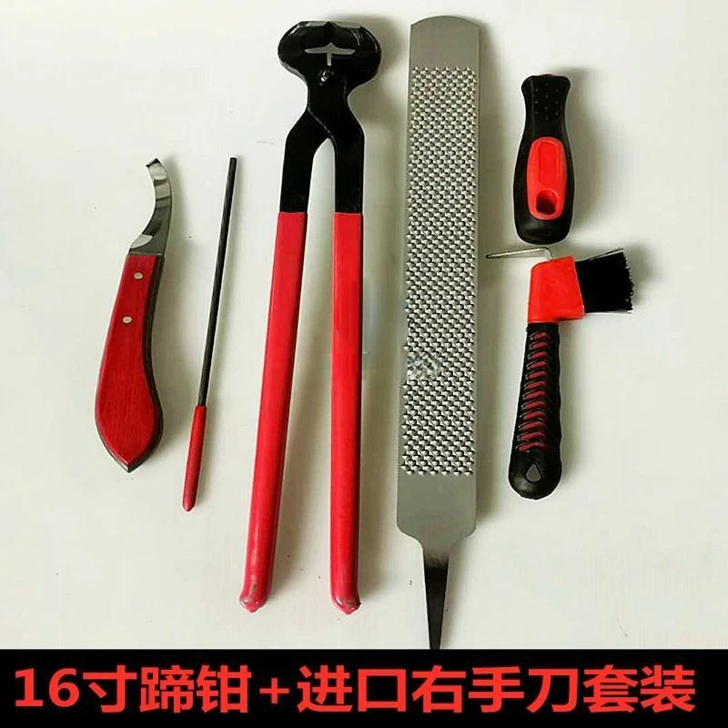Shoe-Repairing Nail Palm Tool Set Horseshoe Knife Shoe-Repairing Tool Horseshoe File Shoe-Cutting Pliers Nail-Pressing Pliers