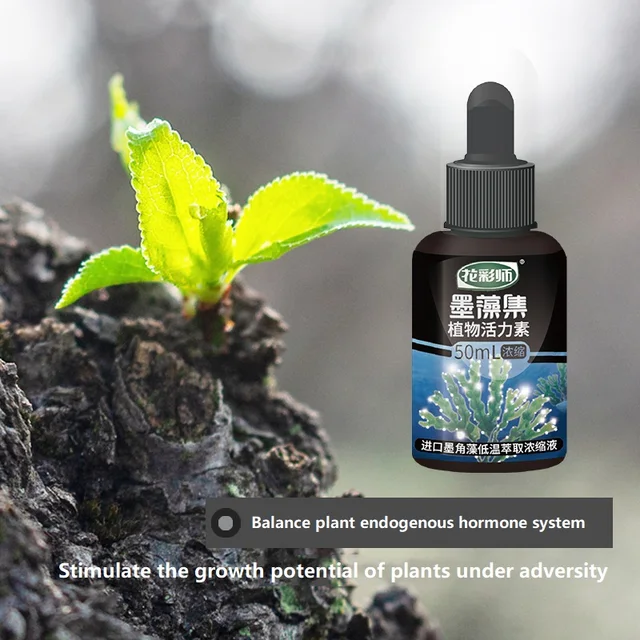 50Ml Tinta Algák Fitodinamika Enyhíti Az Elhízás Elősegítése A Gyökerek Erős Palánták Koncentrált Szerves Talaj Aktivátor Koncentrátum - Image 3