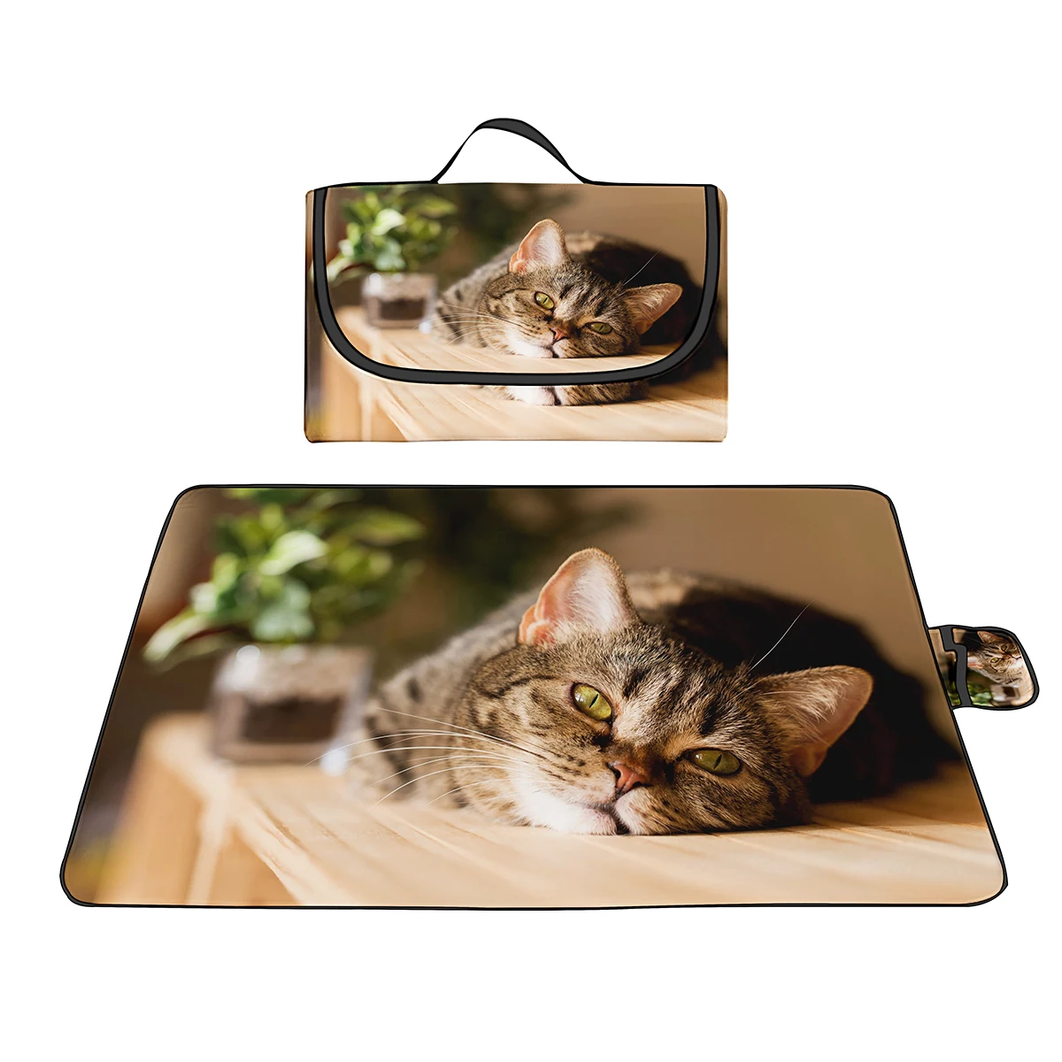 ������ ����Ʈ �޴�� ���� �߿� ��ũ�� ���, ���̽� �������� ��ũ�� ��Ʈ, �غ� ��Ƽ ���� ķ�� �ܵ� ���� ����