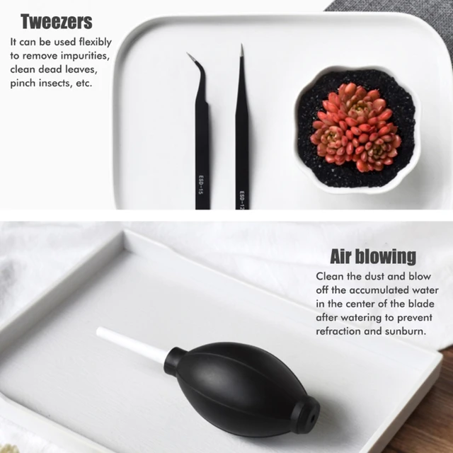 15Db Átültetési Eszközök Miniatűr Ültetési Zamatos Növények Szerszámok Mini Kerti Kézi Készlet Kertészeti Szerszámkészlet - Image 5