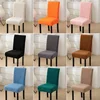 Curled Lamb Wool Thickened Chair Cover Autumn Winter Universal Dining Slipcovers Skin Friendly Breathable Home Chair Cover 6