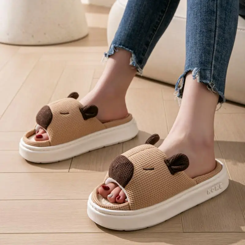 Casual Platform Slippers Women Home Spring Summer Cartoon Luxury Designer Shoes Ladies Fashion Indoor Outdoor Footwear Elegant