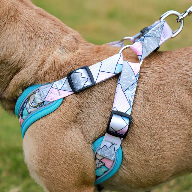 New Pets Dogs Accessories Luminous Adjustable Harness For Dogs Puppy Vest Collar Leash French Bulldog Medium Small Large Dog 4