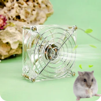 Hamster Cooling Fan 1